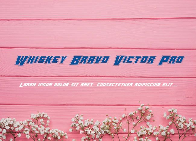 Whiskey Bravo Victor Pro example